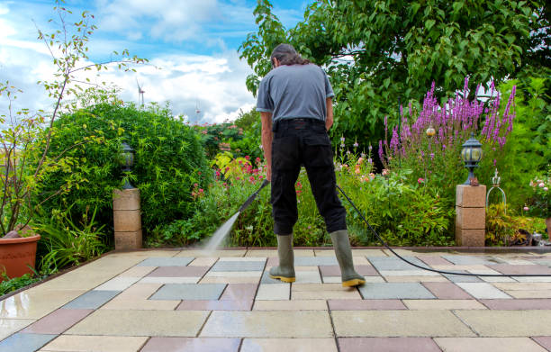 Best Fence Cleaning  in Twin Lakes, CA
