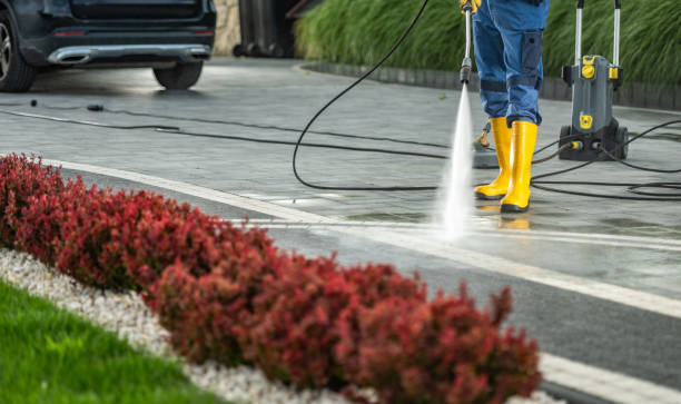 Best House Exterior Washing  in Twin Lakes, CA